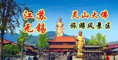 大鸡巴操妣视频江苏无锡灵山大佛旅游风景区
